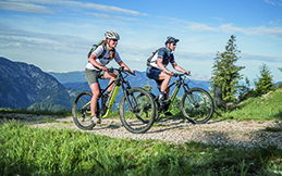 E-MTB Hardtrail