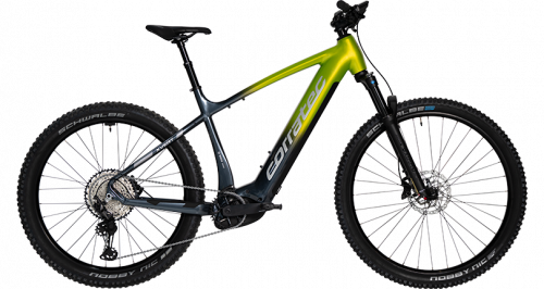 E-POWER X VERT PRO TEAM 